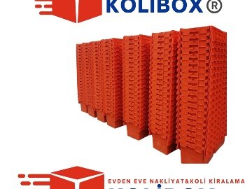 Karton Kutu Aramaya Son: Kolibox