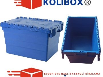Karton Kutu Aramaya Son: Kolibox