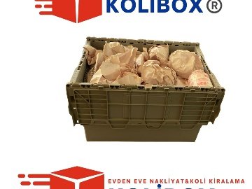 Karton Kutu Aramaya Son: Kolibox