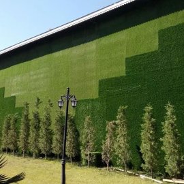 GRASS WALL