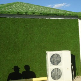 GRASS WALL