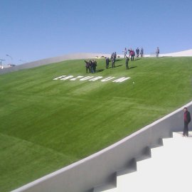 GRASS SKIING AND GRASS SLEDDING