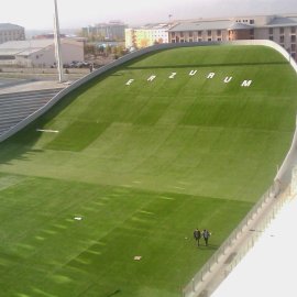 GRASS SKIING AND GRASS SLEDDING