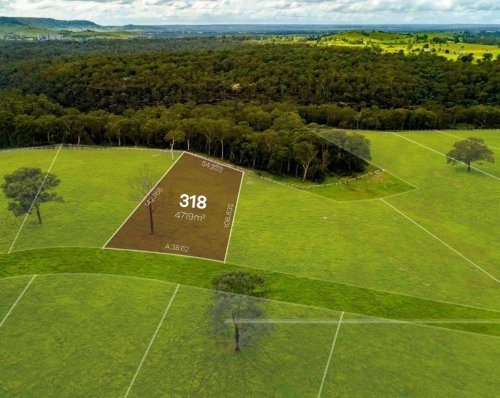 38292718_1996073980412799_4843675601724243968_o