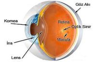 Refraktif Cerrahiler