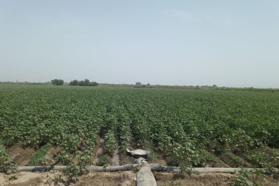 Esnek Su Borularında Garanti