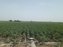 Esnek Su Borularında Garanti