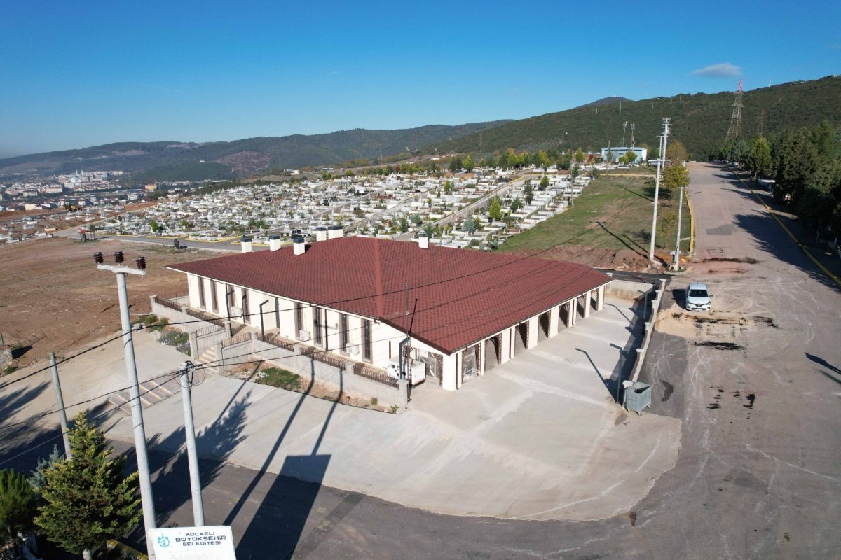 1731671642-F106397E2C