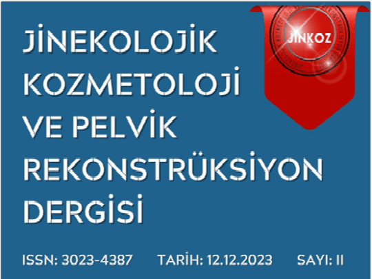 JİNKOZ Dergisi 12 Aralık 2023