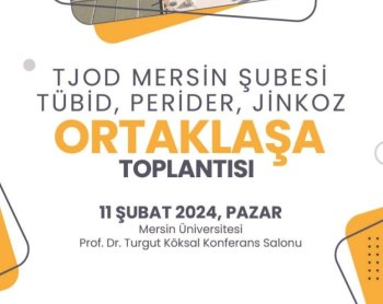 TJOD MERSİN ŞUBESİ TÜBİD PERİDER JİNKOZ ORTAKLAŞA TOPLANTISI