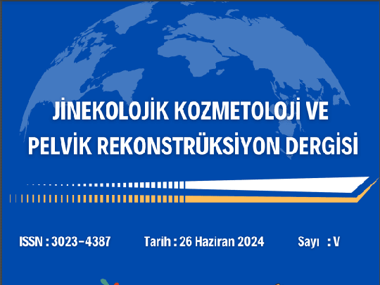 JİNKOZ Dergisi 26 Haziran 2024