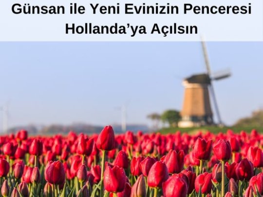 Türkiye'den Hollanda'ya Ev Taşıma Fiyatları