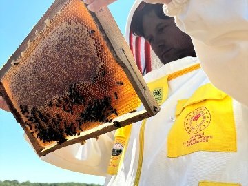 ARILIĞIMIZ VE DOĞAMIZ