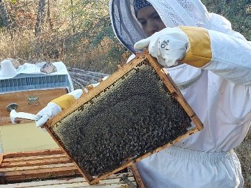 ARILIĞIMIZ VE DOĞAMIZ