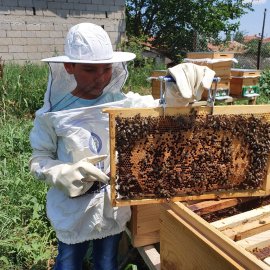 ARILIĞIMIZ VE DOĞAMIZ
