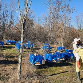 ARILIĞIMIZ VE DOĞAMIZ
