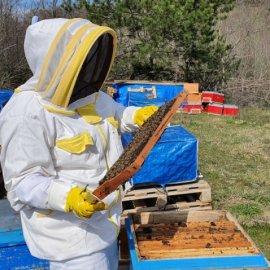 ARILIĞIMIZ VE DOĞAMIZ