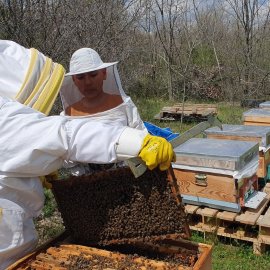 ARILIĞIMIZ VE DOĞAMIZ