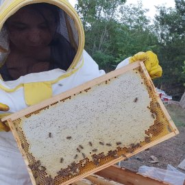 ARILIĞIMIZ VE DOĞAMIZ