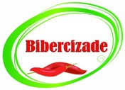 bibercizade