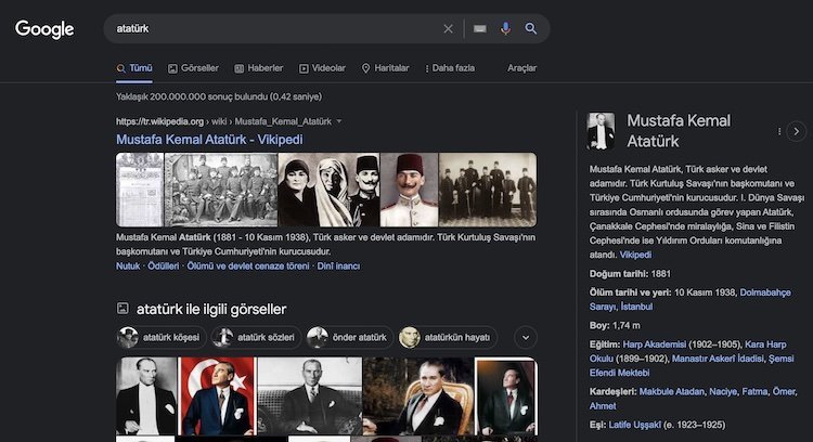 tipik bir serp arama motoru sonuç sayfası