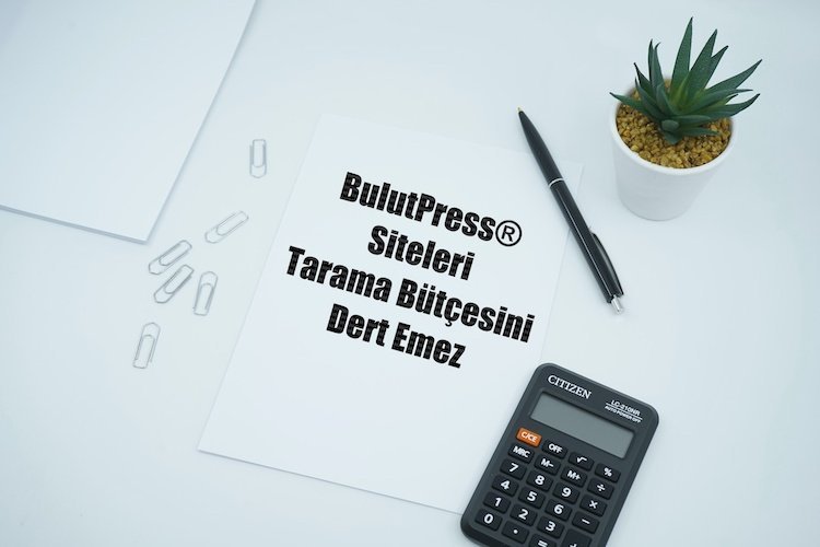 tarama bütçesi crawl budget