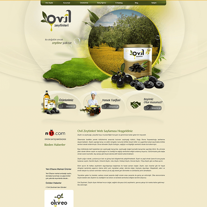 Web-Tasarımı-Zeytinci