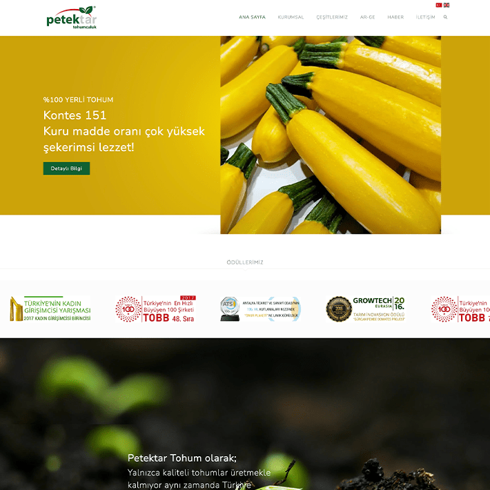 Petektar-Tohumculuk-Web-Tasarım-Referansı