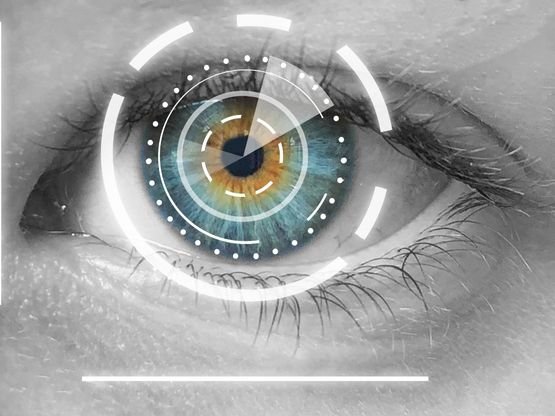 Yapay Görmenin Evrimi