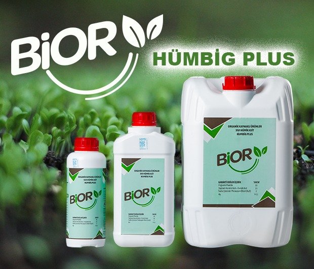 d8a80a62-2dcc-4b98-a242-56e2ee7b565e