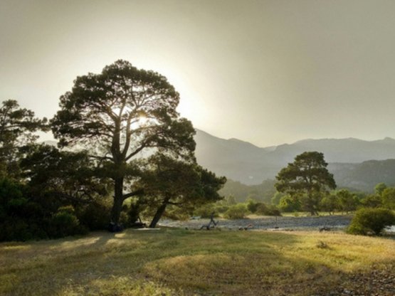 Tekirova History | Things to do | Tours in Tekirova