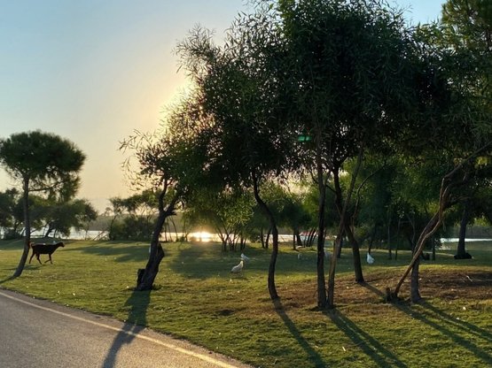 Antalya Kadriye History | Best Attractions | Tours from Kadriye