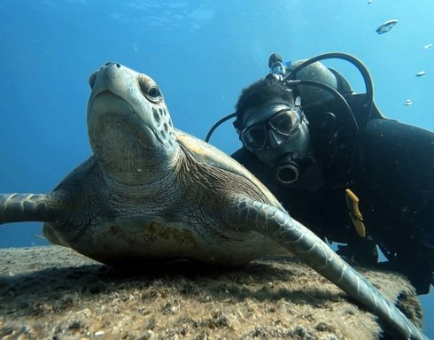 Antalya Scuba Diving Turları Çamyuva Çıkışlı Macera