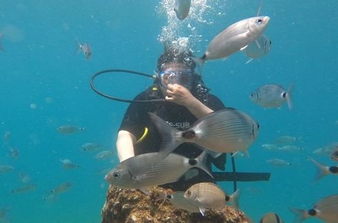 Scuba Diving Tour From Tekirova And Tour Program
