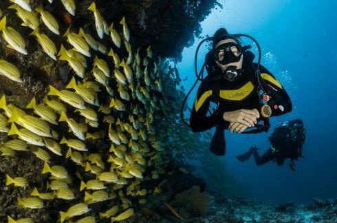 Scuba Diving Tour From Kundu And Detailed Tour Programme