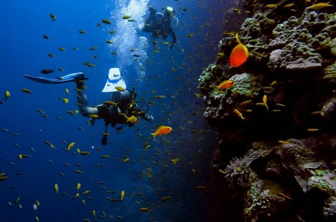Scuba diving Antalya
