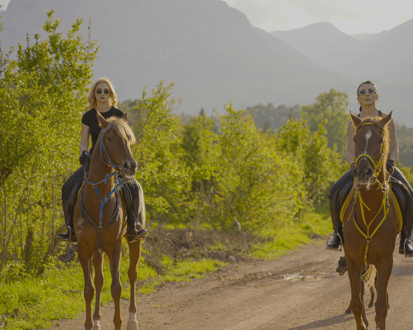 Antalya Horse Riding Tour