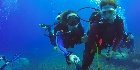 Scuba Di̇vi̇ng 6