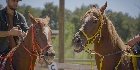 Antalya Horse Riding 8