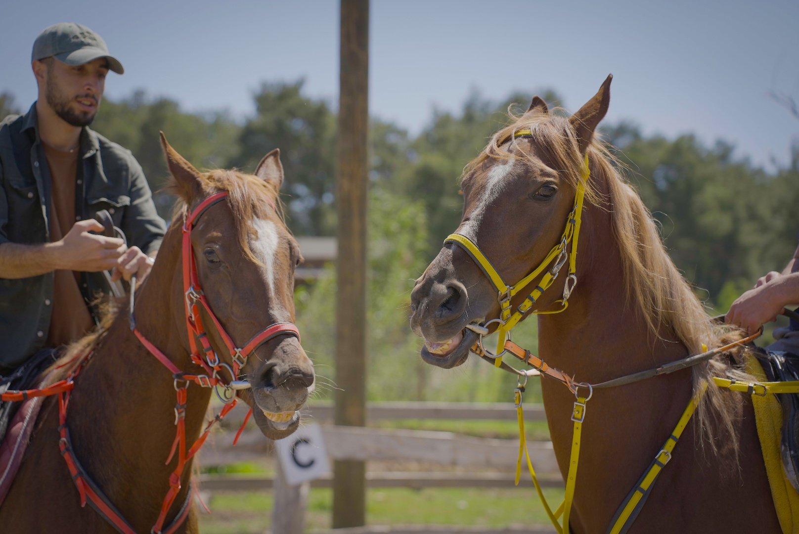 Antalya Horse Riding 8