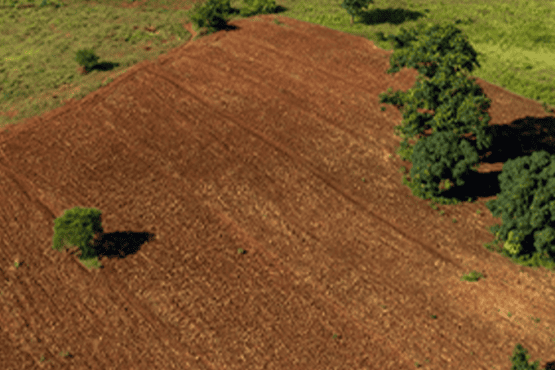 Konut fiyatları arttı, tarla ve arsa satışları rekor kırdı