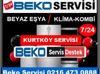 Kurtköy Beko Servisi