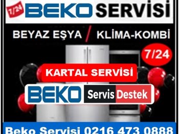 Kartal Beko Servisi