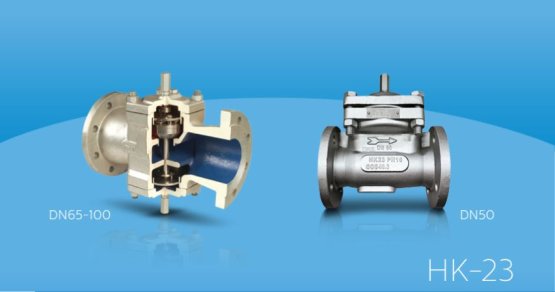 HK-23 Yüksek Kapasiteli Termostatik Kapsüllü Kondenstop