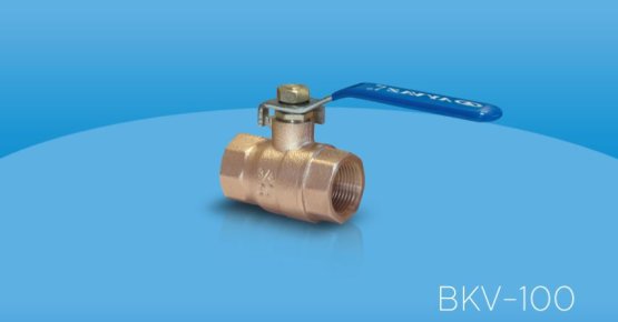 BKV-100 Bronz Küresel Vana