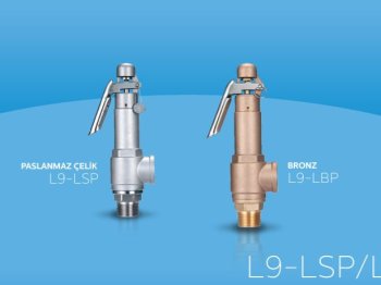 L9-LS Paslanmaz Çelik Dişli Emniyet Ventili