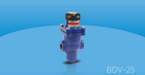 BDV-25 Dişli Basınç Düşürücü