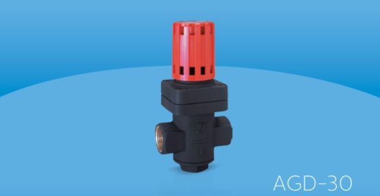 AGD-30 Dişli Direkt Tesirli Basınç Düşürücü