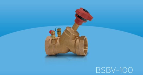 BSBV-100 Statik Balans Vanası