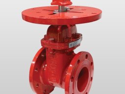 NRS Yükselmeyen Milli Vana